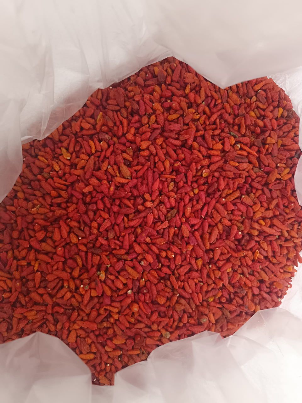 Bird Eye Chilli