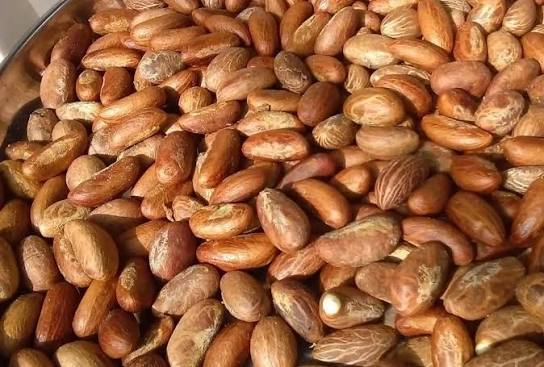 Dried kola nuts for export